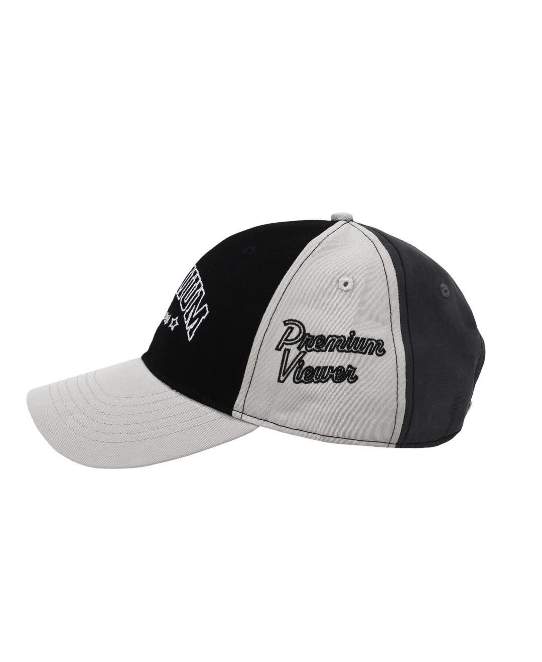 Premium Viewer Colorblock Dad Hat